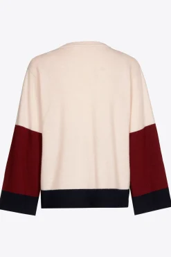 Pullover mit V-Ausschnitt und Farbblockmuster